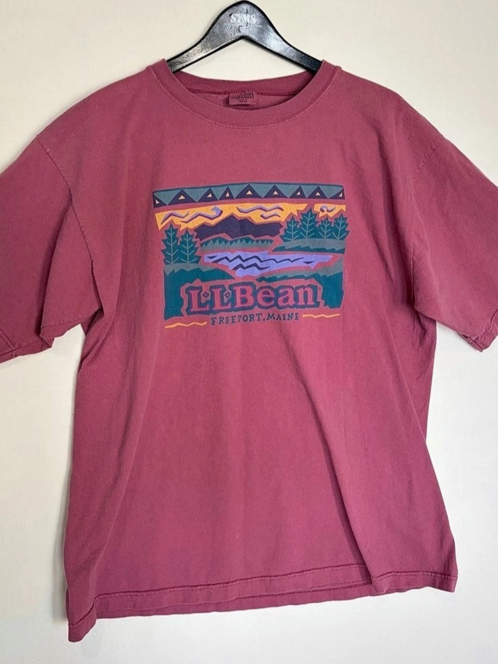 VTG 90s LL Bean Graphic TShirt Mens L Hiking Nature Pink Mauve Rare Harborside